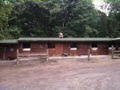 image of some of our stables